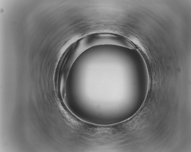 X0000087391181200704201235