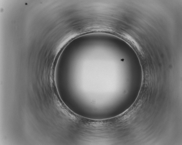 X0000087391182200704201235