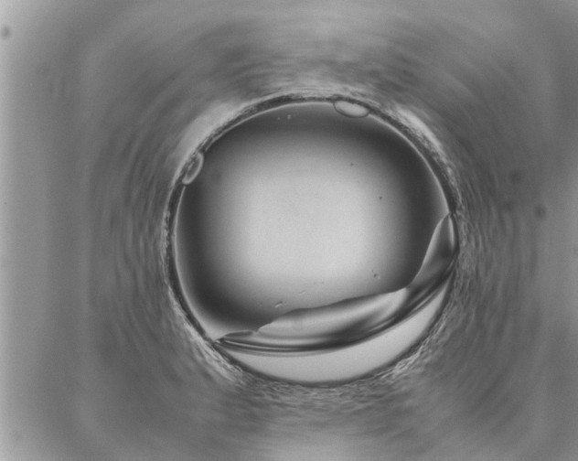 X0000087391183200704201235