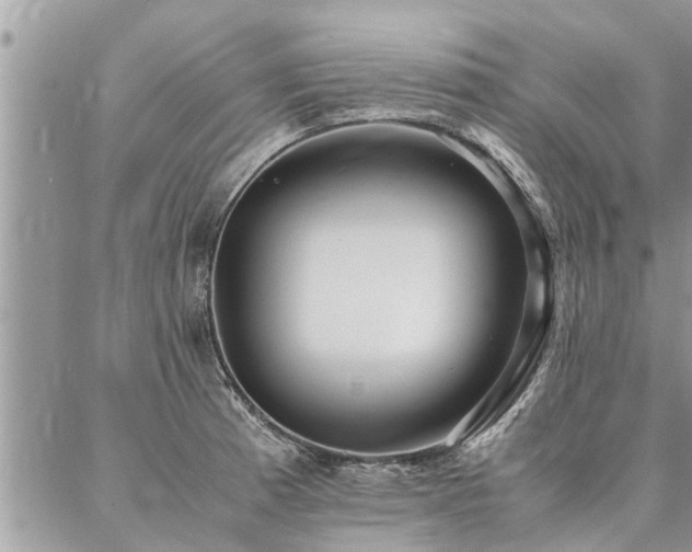 X0000087391185200704201234