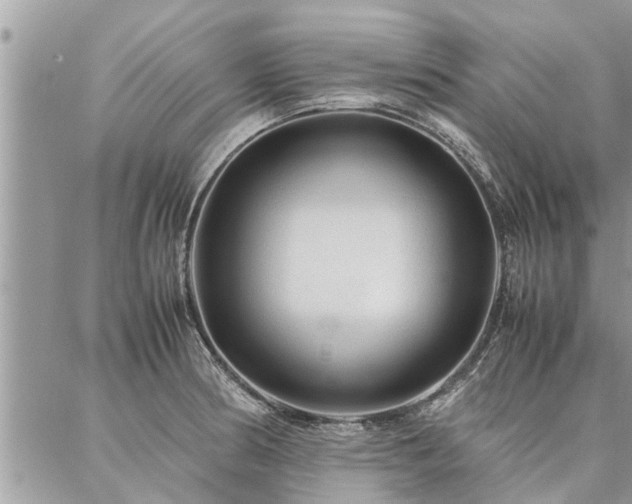 X0000087391186200704201234