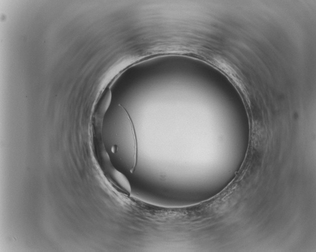 X0000087391187200704201234