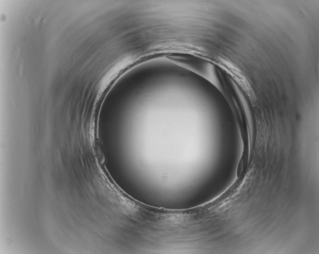 X0000087391188200704201234