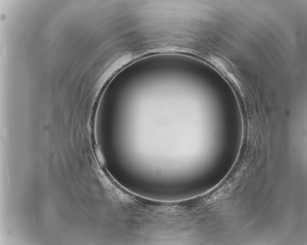 X0000087391189200704201234