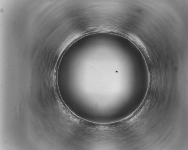 X0000087391190200704201234