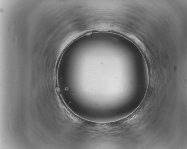 X0000087391191200704201234