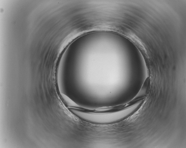 X0000087391192200704201234