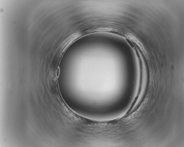 X0000087391193200704201234