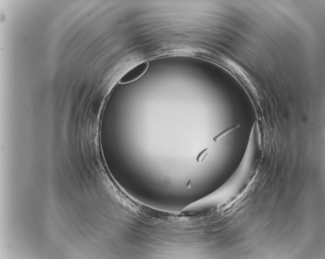 X0000087391194200704201234