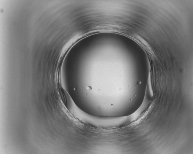 X0000087391196200704201234