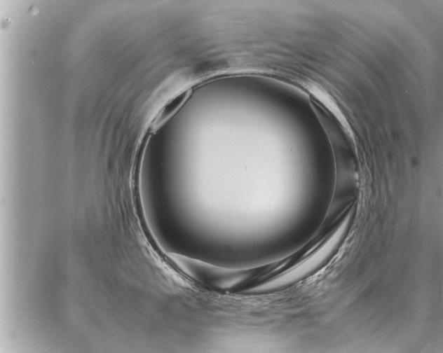 X0000087391197200704201234