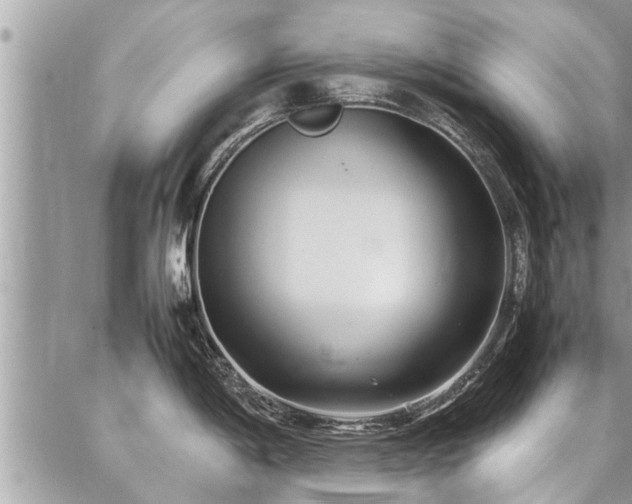 X0000087391198200704201234