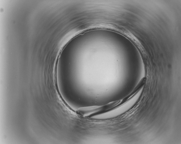 X0000087391199200704201234