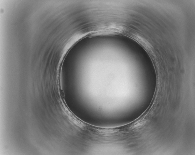 X0000087391200200704201234