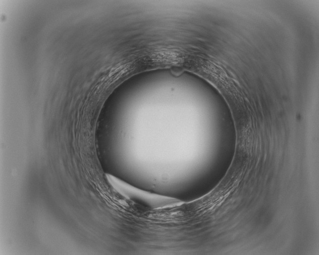 X0000087391201200704201233