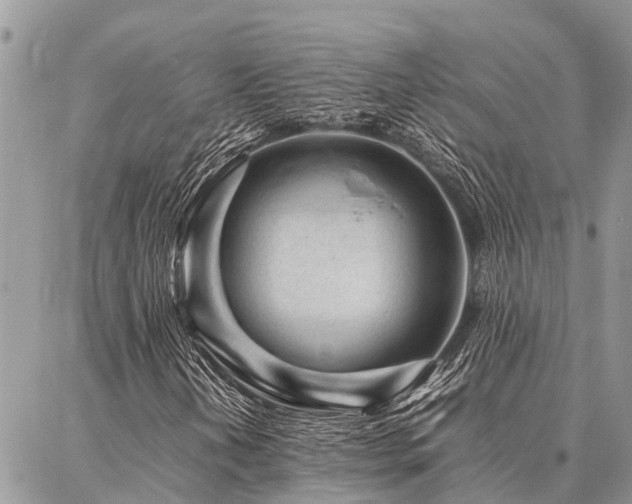 X0000087391202200704201233