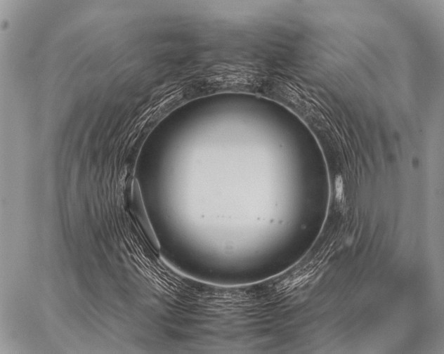 X0000087391203200704201233