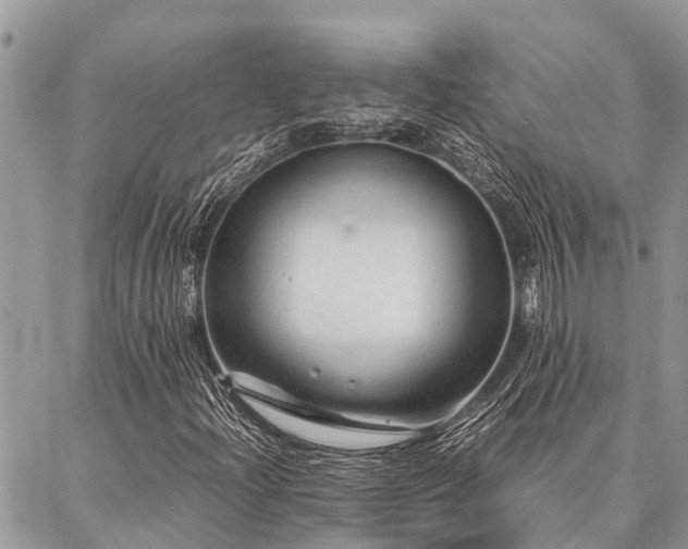 X0000087391204200704201233