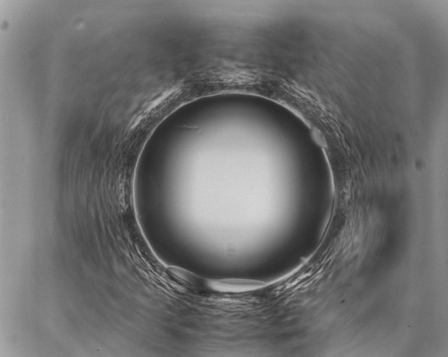 X0000087391205200704201234