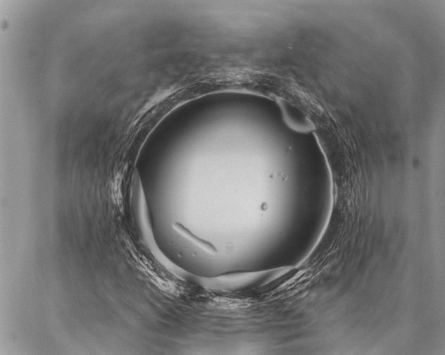 X0000087391206200704201234