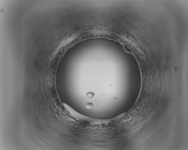 X0000087391207200704201234