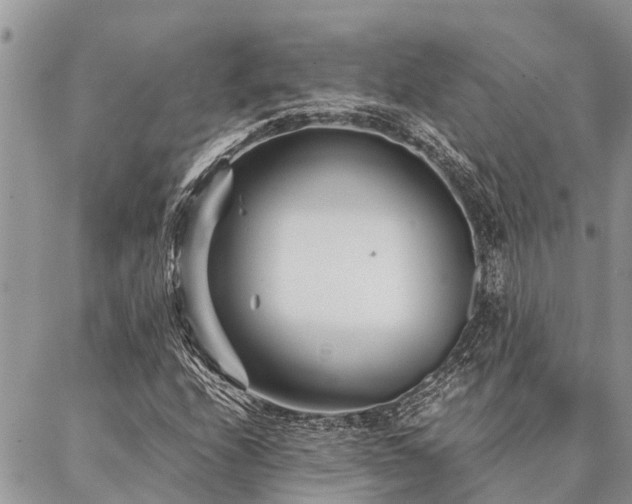 X0000087391208200704201234