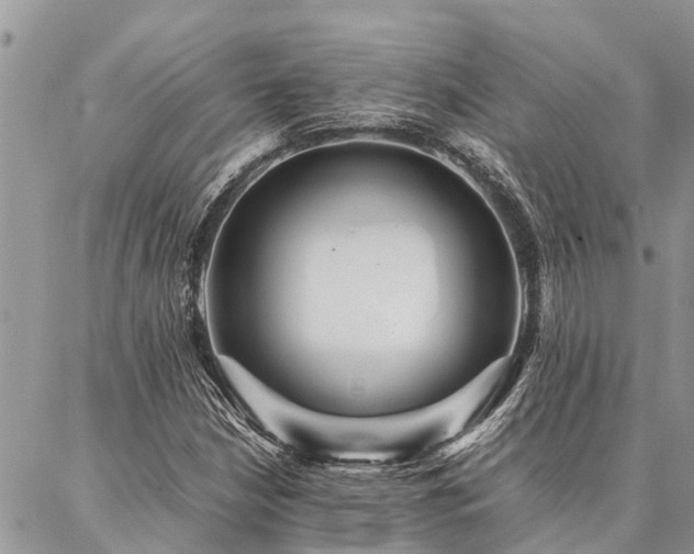 X0000087391210200704201234