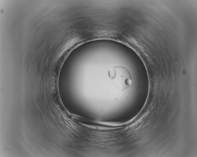 X0000087391211200704201234