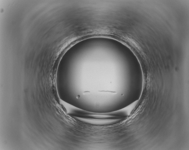 X0000087391212200704201234