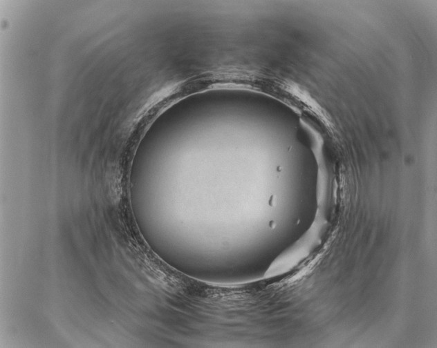 X0000087391213200704201234