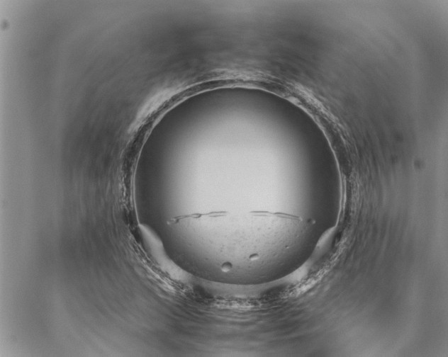 X0000087391215200704201234