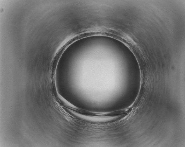 X0000087391216200704201234