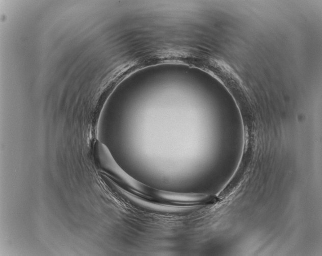 X0000087391217200704201234