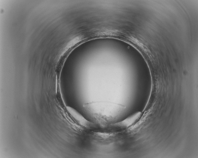 X0000087391219200704201234