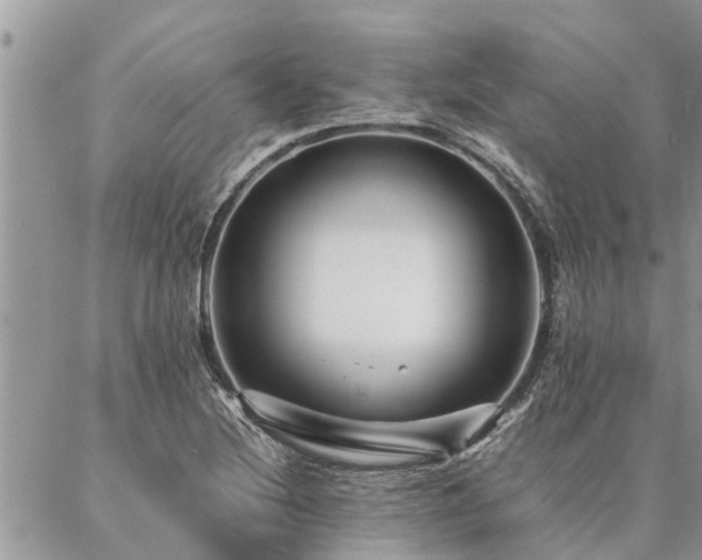 X0000087391220200704201234