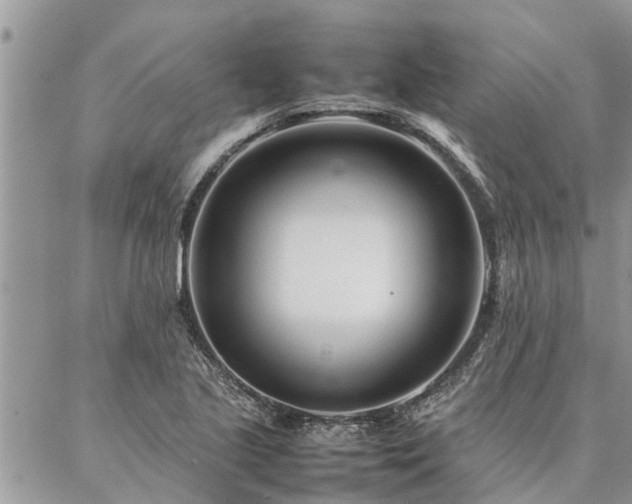 X0000087391221200704201234