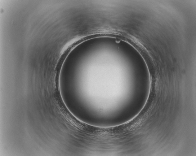 X0000087391222200704201234