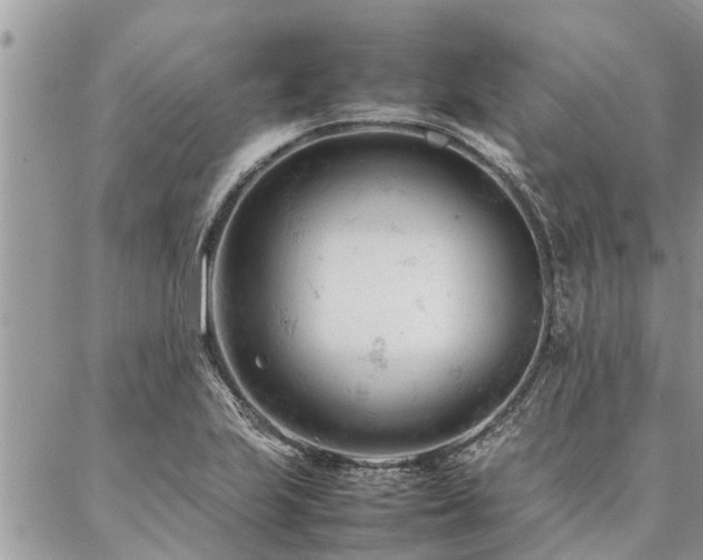 X0000087391223200704201234