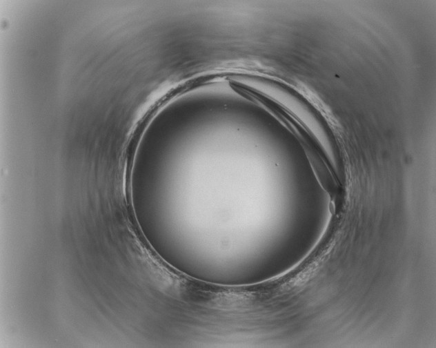 X0000087391224200704201234