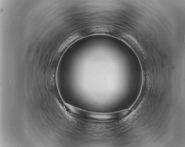 X0000087391225200704201234