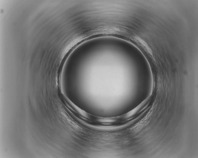 X0000087391226200704201234