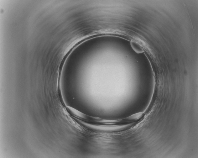 X0000087391228200704201234