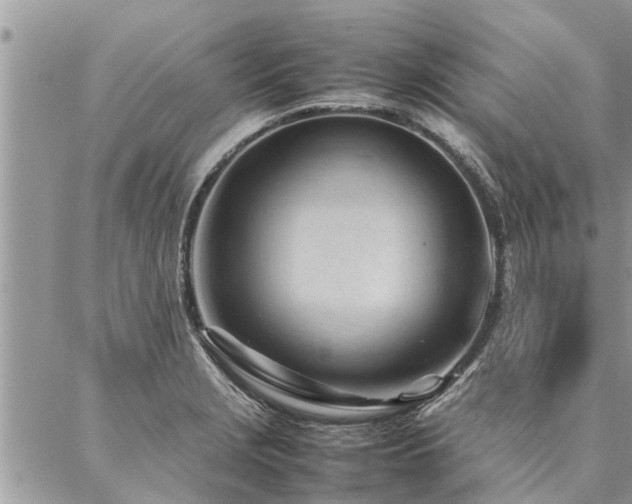 X0000087391229200704201234