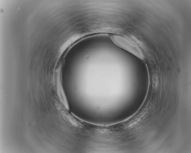 X0000087391230200704201234