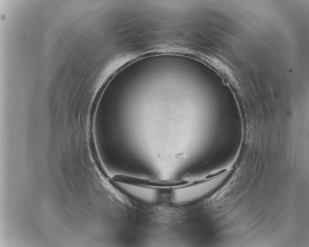 X0000087391231200704201234