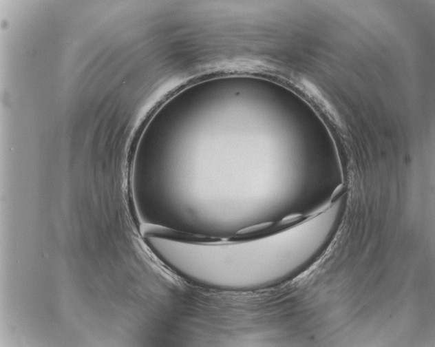 X0000087391232200704201234