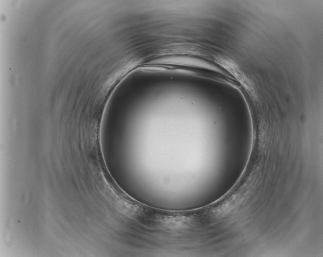 X0000087391233200704201234