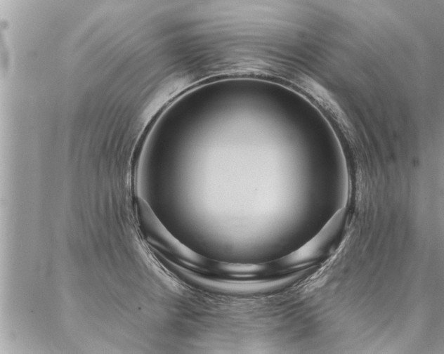 X0000087391234200704201234