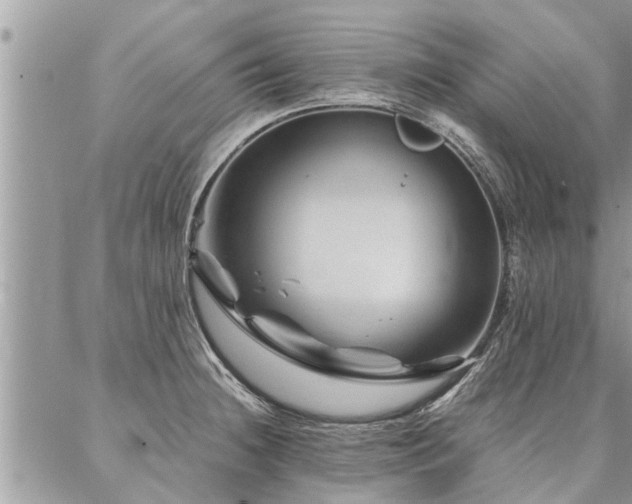 X0000087391236200704201234