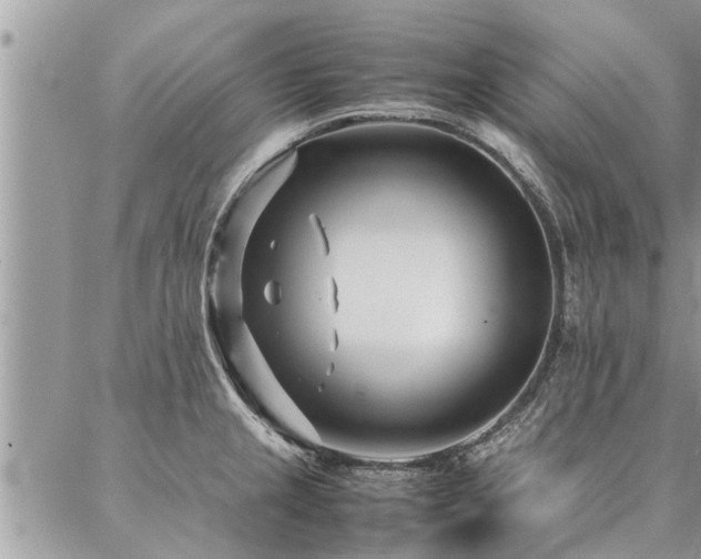 X0000087391237200704201234